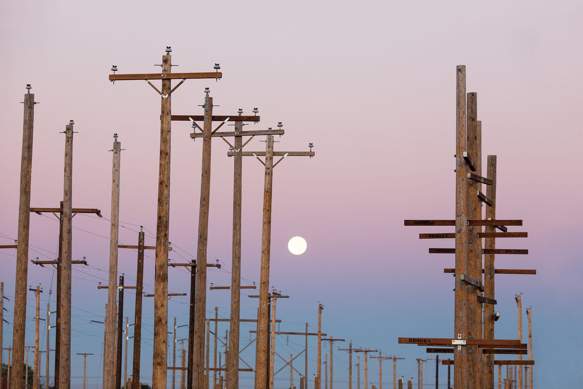 Training yard poles during the sunset with the moon.