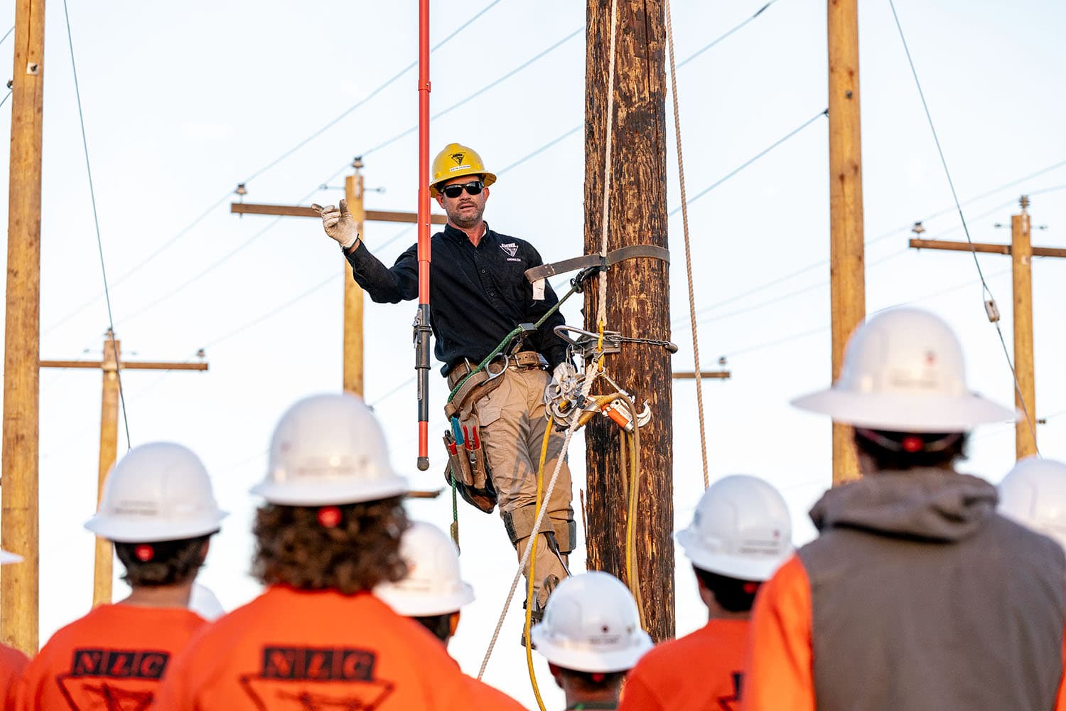 Post Full Width Image